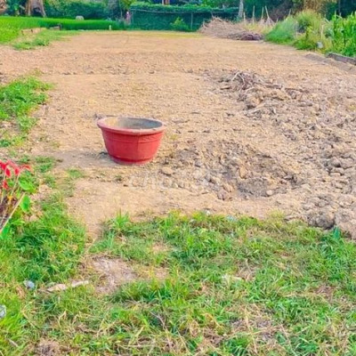 đất sổ hồng 323m2 đường trương sa, huyên duy uyên