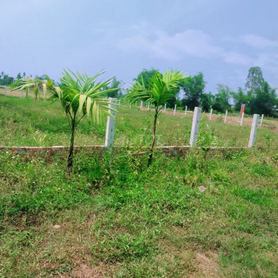 GIÁP RANH HOÀ TIẾN LÔ 286m2 CHỈ 6xx