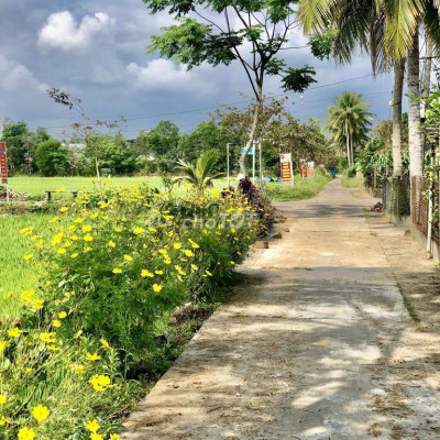 ĐẤT ĐIỆN TIẾN NGAY ĐẦM SEN FULL THỔ GIÁ 3tr/m2