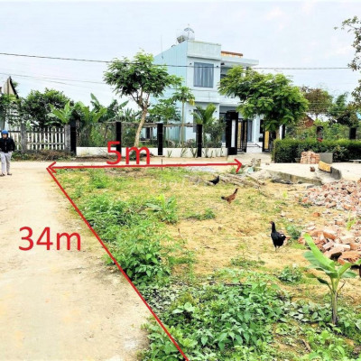 Vài lô Điện BÀn 100-300m2 chỉ 350tr lô sẵn sổ