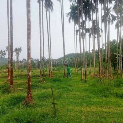 Bán đất vườn tam anh Nam núi thành