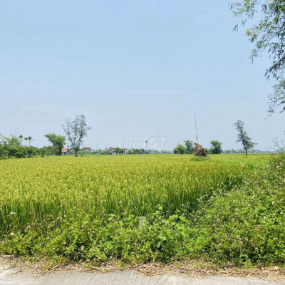 Chủ Gả gấp lô đất nhà vườn cách thị trấn hà lam2km