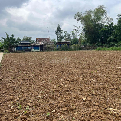 Bán Đất Nhà Vườn Đại Lộc ngang 35m chỉ 1,5 tỷ