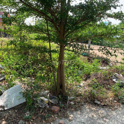 Đất Điện Ngọc gần trường CD nghề Hoà Quý