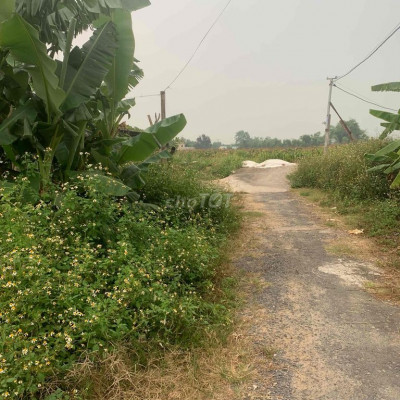 chính chủ cần bán đất