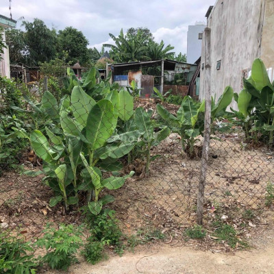 Bán đất thổ cư điện hoà thị xã điện bàn