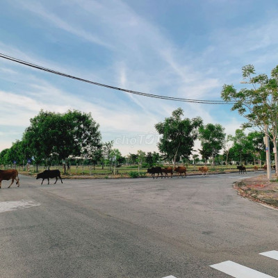 bán gấp lô đất khu biệt thự