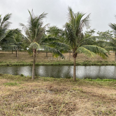 đất mặt tiền đối diện chợ, kinh doanh buôn bán sầm uất