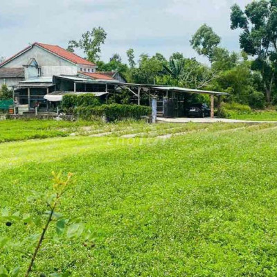 337 m2 gần nhà dân & đường liên xã, gần biển: 95Tr