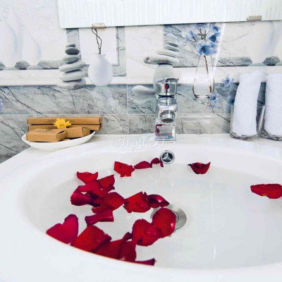 SIÊU BIỆT THỰ VILA PHỔ CỔ HỘI AN, SANG TRỌNG ĐẲNG CẤP, DÒNG TIỀN 80 Tr