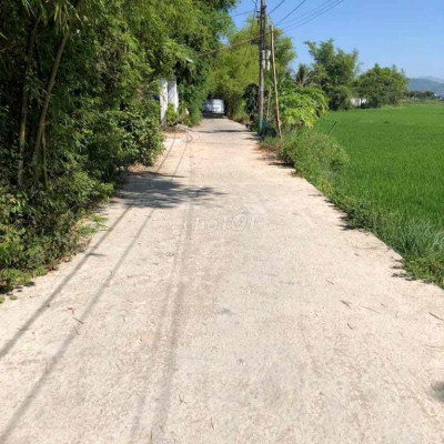 đất gần chợ Lạc Thành