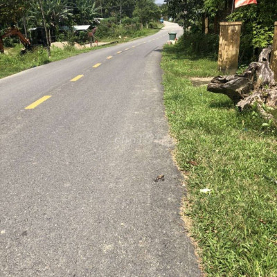 Chính chủ bán đất mặt tiền Quốc Lộ 24c thị trấn bắc Trà My