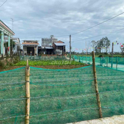 Bán đất Điện Phong tx Điện Bàn ngang 7m