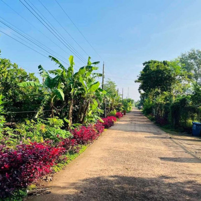 ĐIỆN NGỌC HÀNG HIẾM ĐƯỜNG BETONG OTO NGAY KHU DÂN CƯ GIÁ 5xx