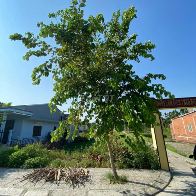 Bán đất 2 mặt tiền đường 8m Điện An, giá 1.6 tỷ