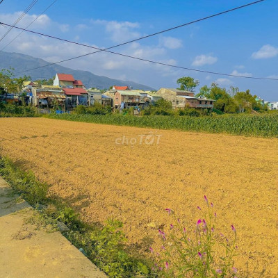 MỞ BÁN 17 LÔ Ở ĐẠI QUANG HUYỆN ĐẠI LỘC ĐẠI HẠ GIÁ