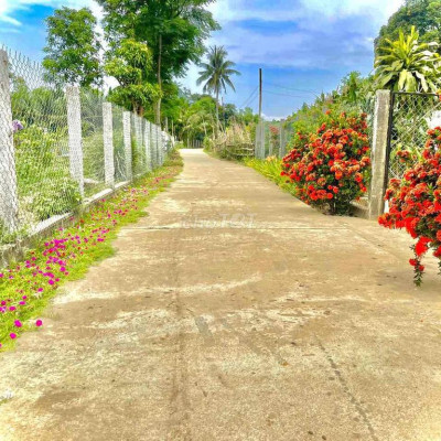 cần bán đất Quảng Nam giá rẻ , chưa qua đầu tư