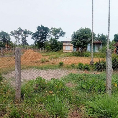 Bán đất vườn tam xuân 2 núi thành