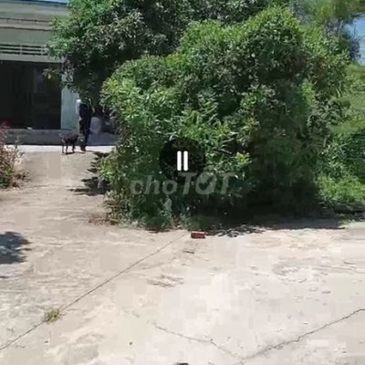 🔥🔥🔥 Bán nhanh giá sụp hầm 430 mét đất ở SHCC,Duy Xuyên