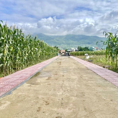 Ngang 6m dài 26m - 200tr đã công chứng sang tên