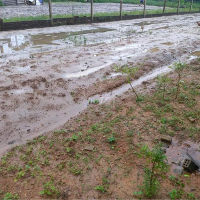 Bán đất nền cách quốc lộ 1A 50m - gần đường Việt Hàn