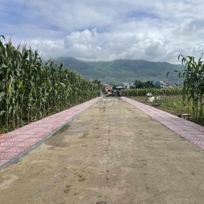 240m2 ngang 9m đã tách 2 lô ,giá 350tr/lô,đã có sổ