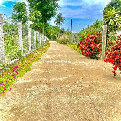 Bán đất VỊnh An hòa City - Chu Lai giá 850 triệu