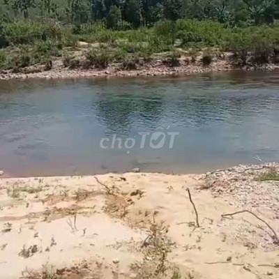 Bán đất ở và 11hetta đất rừng views suối bắc trà My Quảng Nam