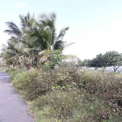 Bán nhanh lô Khu phố chợ Điện Ngọc, cạnh FPT giá 1.25 tỷ