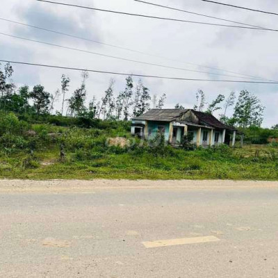 Chính chủ cần 4800m2  mặt tiền đường dh3 đất tam anh Nam Núi Thành