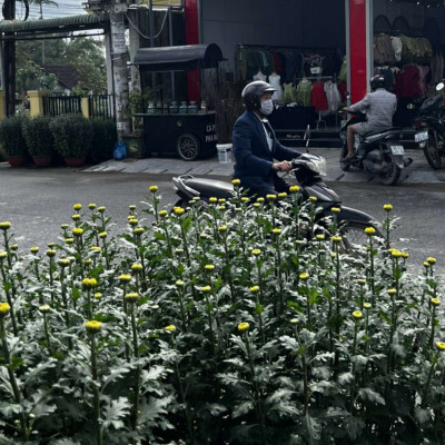 Nhà mặt tiền cần cho thuê, ngang 7m