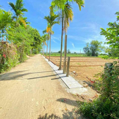 Trục chính đường rộng 5m5 giá rẻ cho nhà đầu tư