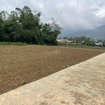 giá chỉ hơn 2tr /m2