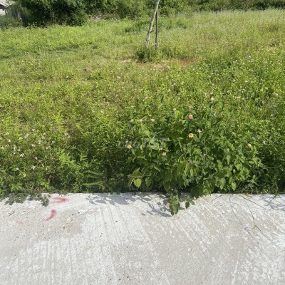 Hà Tây 2 - Điện Hoà - giáp Đà Nẵng