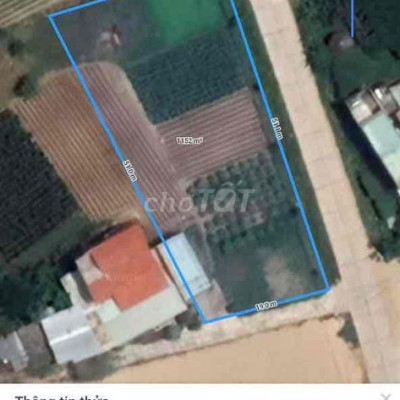 1100m2 Đường chính cầu Cẩm Kim mới - TP Hội An