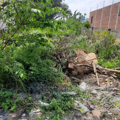 192m2 đường bê tông 3m nay cần tiền gia đình bán rẻ