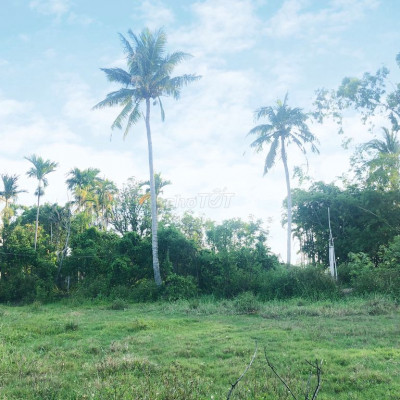 Bán đất Cẩm Thanh Hội An - Diện tích 93m. Giá chỉ 1.050 tỷ