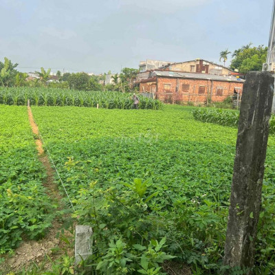 Mình chính chủ cần bán đất kiệt đường Nông Cống