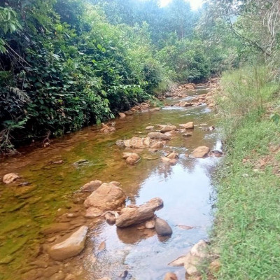 Bán đất rừng sx views suối bám suối Tiên Phước Quảng Nam