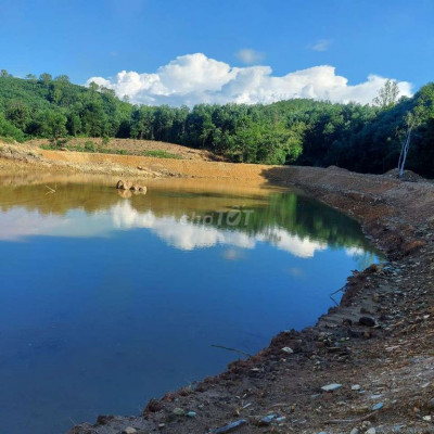 Chính chủ bán nhà vườn views suối phù Tiên Phước Quảng Nam