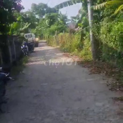 sập hầm cần bán gấp đất nền thôn bích tân tam xuân 1