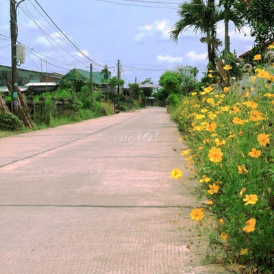 ĐẤT ĐIỆN BÀN ĐƯỜNG 6m - NGAY UBND CÁCH DT610B CHỈ VÀI BƯỚC CHÂN