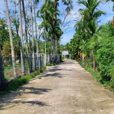 ĐANG XÂY NHÀ BỊ THIẾU TIỀN BÁN LÔ ĐẤT 320m2 FULL THỔ RẺ HƠN 300tr