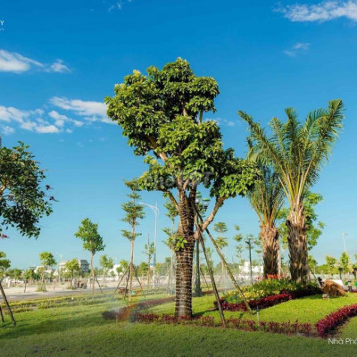 Thông tin đang nóng tại Tam kỳ Tung 100 lô đất nền chỉ 690 Tr CK 20%