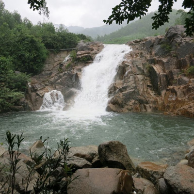 Tặng 3.500m2 đất trồng lúa khi mua Nhà và đất trồng cây kinh tế.