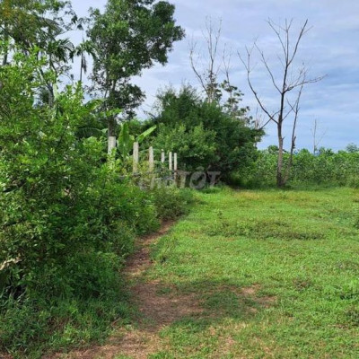 Đất vườn chính chủ 871m2 đã có sổ Điện Tiến