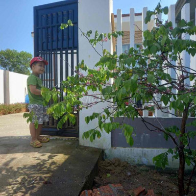 Cần bán mặt đường An Dương Vương