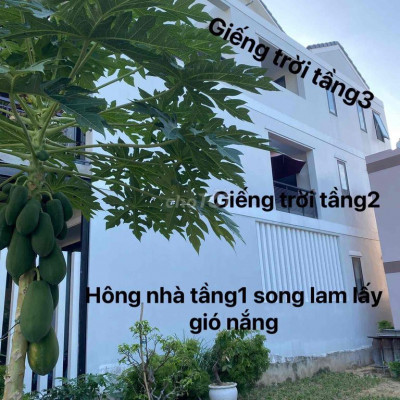 Bán nhà để đi Mỹ 393/52Hai Bà Trưng- Hội An-QN cách đường chính 50m