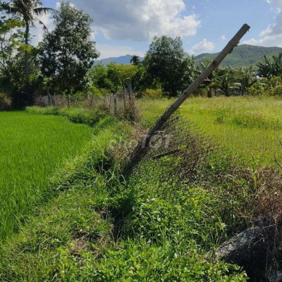 Đất Vườn Quế Xuân 2.Cách Ql  5km đường oto tới đất