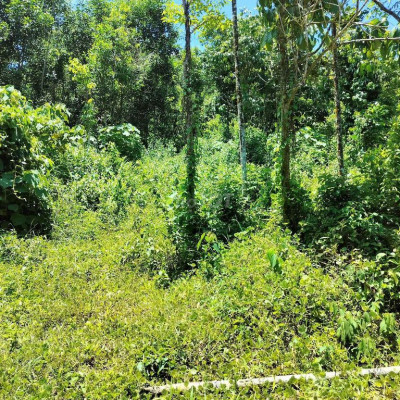 Bán đất vườn tiên phước 14.000m2 bao sổ